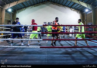 آخرین تمرینات تیم ملی بوکس ایران جهت اعزام به مسابقات قهرمانی جهان در صربستان