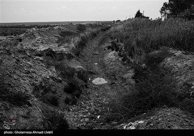 حال دریای مشهور به کوچیک بهشهر دیگر وجود ندارد و از پاسگاه محیط بانی انتهای جاده منتهی به آن تا خود شبه جزیره میانکاله را می توان با هر وسیله ای یا پای پیاده طی کرد،مسیری که نشانی از آب ندارد و زودتر از آنچه که تصورش را می کردیم واقع شد.