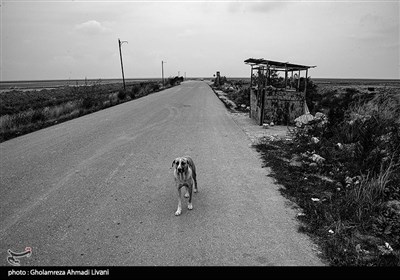 دریای چهارفصل - مازندران