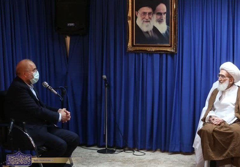 رئیس مجلس شورای اسلامی با آیت الله نوری همدانی دیدار کرد