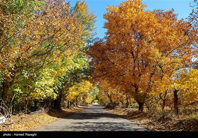 طبیعت پاییزی ابهر - زنجان