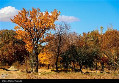 طبیعت پاییزی ابهر - زنجان