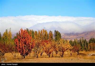 طبیعت پاییزی ابهر - زنجان