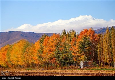 طبیعت پاییزی ابهر - زنجان