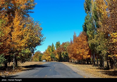 طبیعت پاییزی ابهر - زنجان
