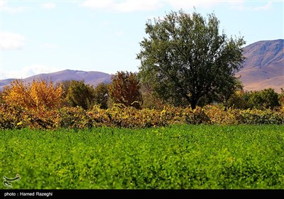 طبیعت پاییزی ابهر - زنجان