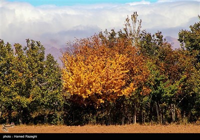 طبیعت پاییزی ابهر - زنجان