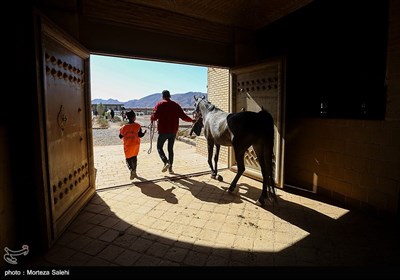 مسابقات اسب سواری استقامت-اصفهان