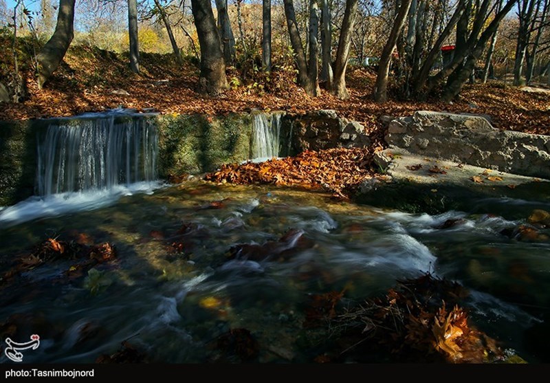طبیعت زیبای پاییزی بجنورد به روایت تصاویر