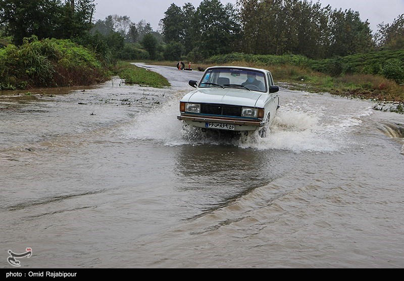 بیش از 130 میلیمتر بارش باران در استان بوشهر ثبت شد +فیلم