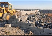 واکنش دادگستری خوزستان به قطع درختان و تصرف اراضی ملی در منطقه زیدون