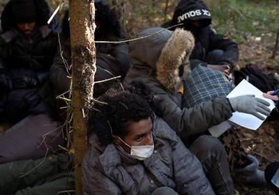  انتقاد شورای اروپایی از رفتار خشونت‌بار با پناهجویان در مرزهای خارجی اتحادیه اروپا 