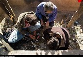 تهران جایی برای نگهداری 9 هزار معتاد متجاهر ندارد