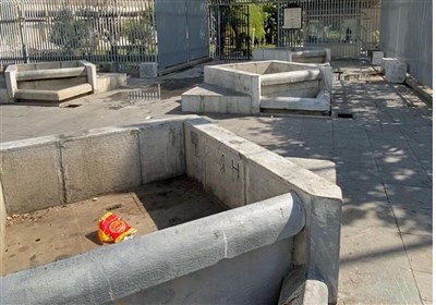  اداره کل میراث فرهنگی تهران: تبدیل حوض‌های موزه فرش به باغچه موقتی است 