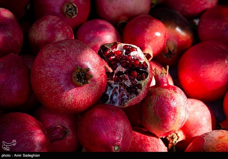 فراهم شدن امکان عرضه فروش انار استان خراسان جنوبی در تهران/ فردوس سومین قطب تولید یاقوت سرخ در کشور است