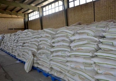 برنج ایرانی در مازندران کیلویی 80 هزار تومان شد