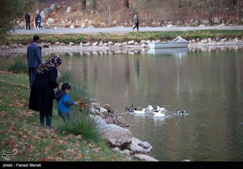 بارش باران پاییزی در طاقبستان