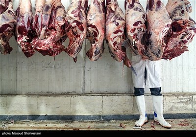 رونق تولید در صنعت فراورده های گوشتی