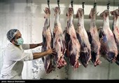 توزیع 960 هزار تن نهاده دامی بهمن ماه برای حمایت از تولید/ فروش گوشت 99 تا 140 هزار تومانی از شنبه