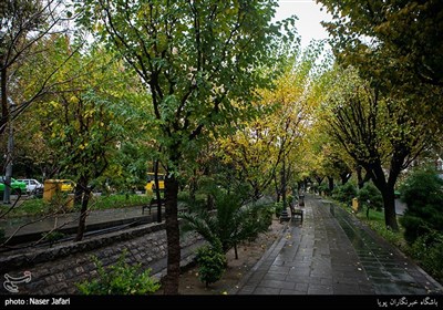  "باران" هوای تهران را "قابل قبول" کرد 