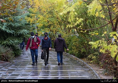 بارش باران پاییزی در تهران-پارک ملت