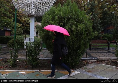 بارش باران پاییزی در تهران-پارک ملت