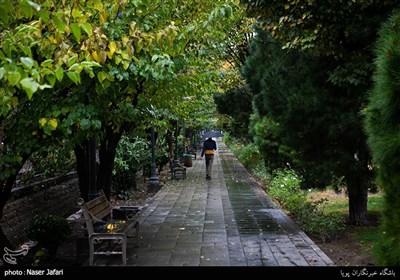 بارش باران پاییزی در تهران-بلوار کشاورز