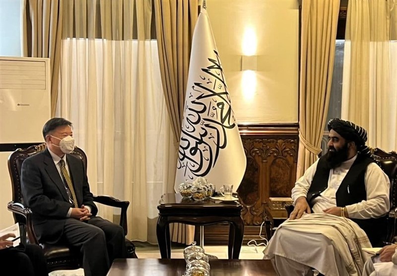 گسترش روابط تجاری محور دیدار وزیر خارجه طالبان و سفیر چین
