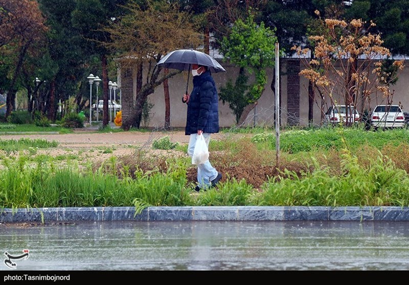 خوزستان در آغوش طراوت بهاری/ باران گرد و غبار را شست