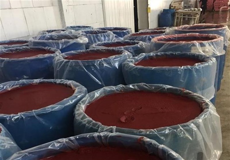 صادرات رب گوجه ایران در بشکه‌های 220 کیلویی/ کشاورزی ایران ظرفیت تغذیه 500 میلیون نفر را دارد