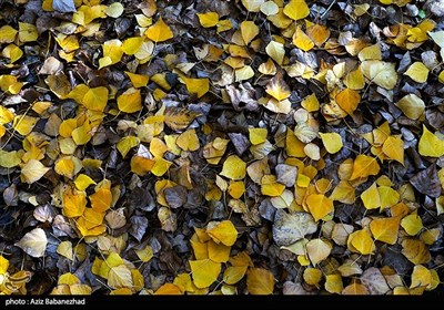 الخريف في قرية كاسيان - خرم آباد لرستان