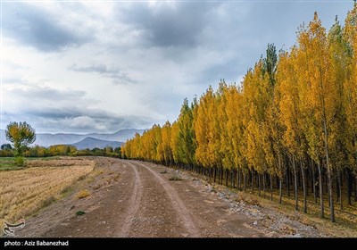 طبیعت پاییزی روستای کاسیان - خرم آباد
