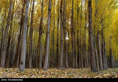 طبیعت پاییزی روستای کاسیان - خرم آباد