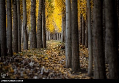 الخريف في قرية كاسيان - خرم آباد لرستان