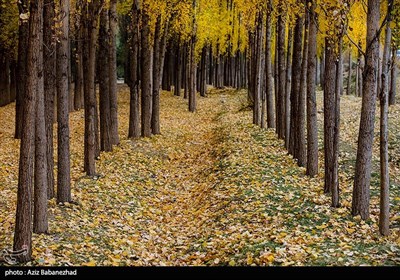 طبیعت پاییزی روستای کاسیان - خرم آباد
