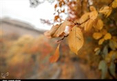 آذرماه همدان با بارش‌های نرمال پیش‌بینی شد/زمستان امسال بدون سرمای سخت