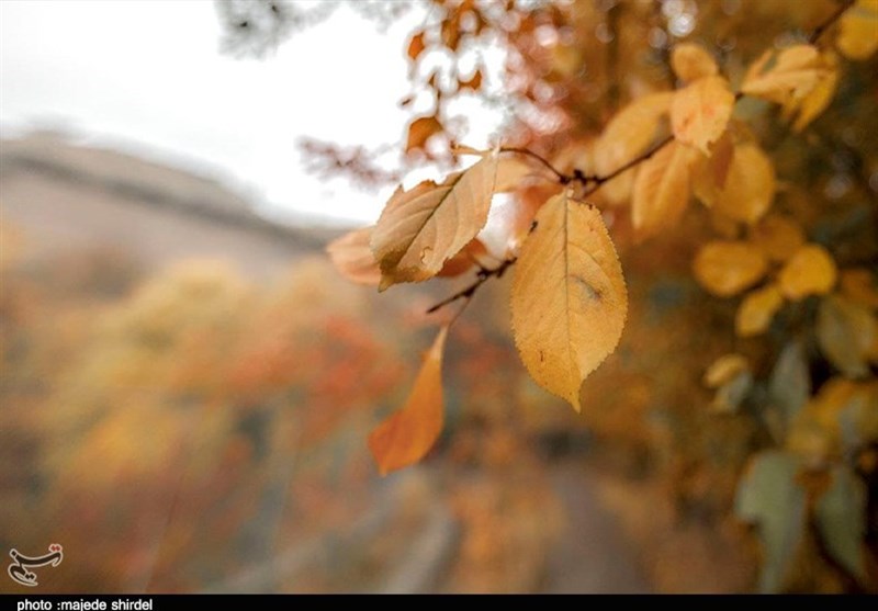 آذرماه همدان با بارش‌های نرمال پیش‌بینی شد/زمستان امسال بدون سرمای سخت