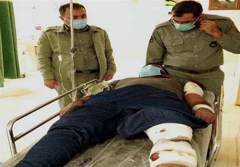 درگیری محیط‌بانان با شکارچیان متخلف / محیط‌بان بوشهری ‌مجروح شد
