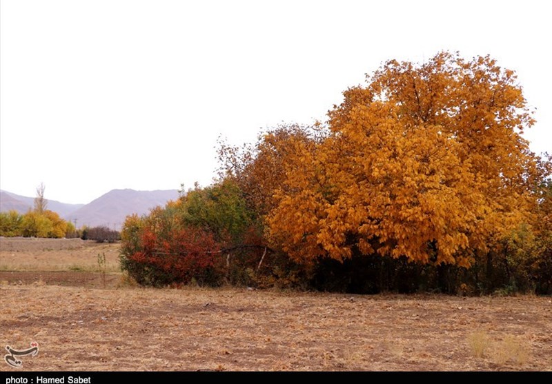 زیبایی‌های پاییز هزار رنگ در استان آذربایجان شرقی به روایت تصویر