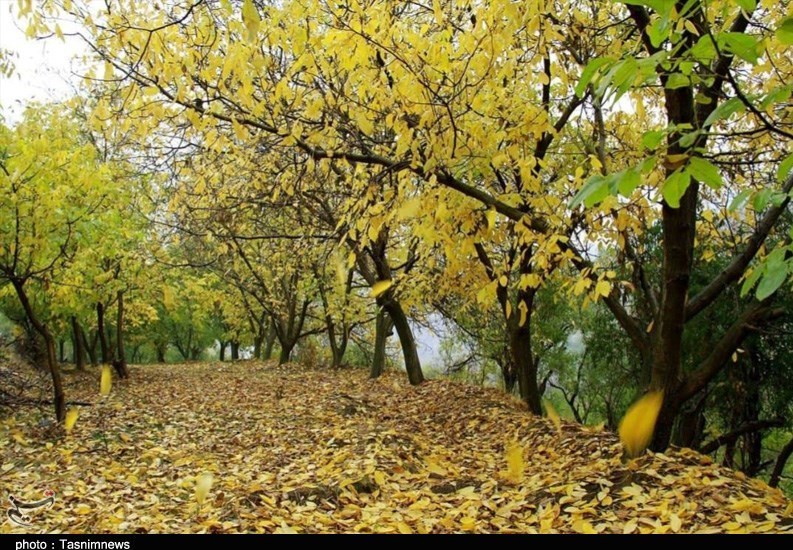 آذربایجان شرقی , `پاییز , 