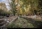 ناتوانی شورای شهر سابق تهران در حفظ و نگهداری از باغات
