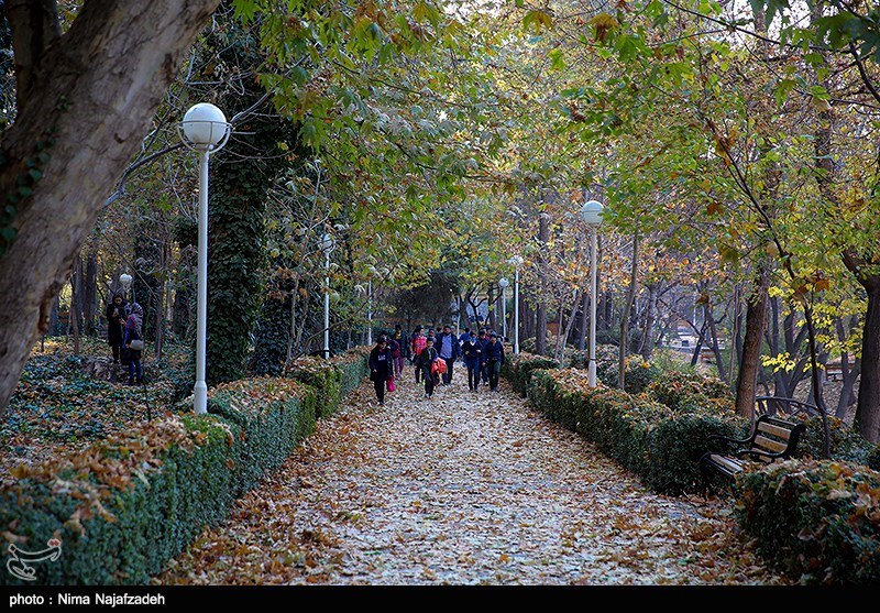 اقدام درخورتحسین شهرداری تهران برای رسیدن به شهر دوستدار معلولین؛ افتتاح 2 پارک دسترس‌پذیر برای معلولین