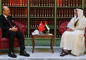 دیدار وزرای کشور ترکیه و امارات
