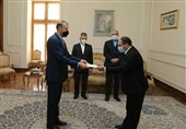 دیدار سفیر جدید ارمنستان در ایران با امیرعبداللهیان