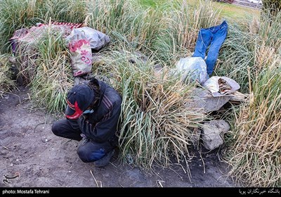 گشت فوریت های خدمات اجتماعی شهرداری تهران 