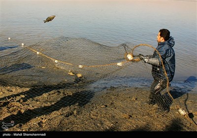 صید ماهی گرم‌‏آبی در تالاب عشق آباد- ری