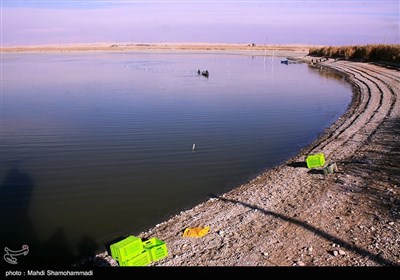 صید ماهی گرم‌‏آبی در تالاب عشق آباد- ری