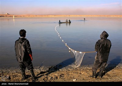 صید ماهی گرم‌‏آبی در تالاب عشق آباد- ری