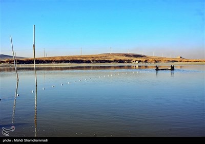 صید ماهی گرم‌‏آبی در تالاب عشق آباد- ری