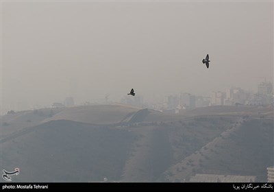  وضعیت هوای تهران ۱۴۰۲/۰۸/۲۳؛ تنفس هوای "ناسالم " در ۱۴ منطقه 